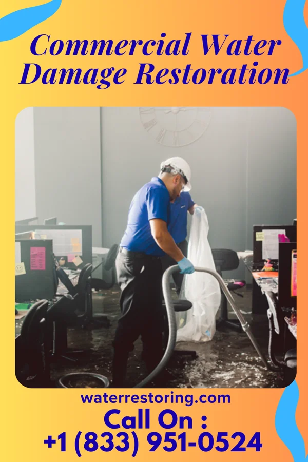 Commercial Water Damage Restoration in Castle Valley, UT